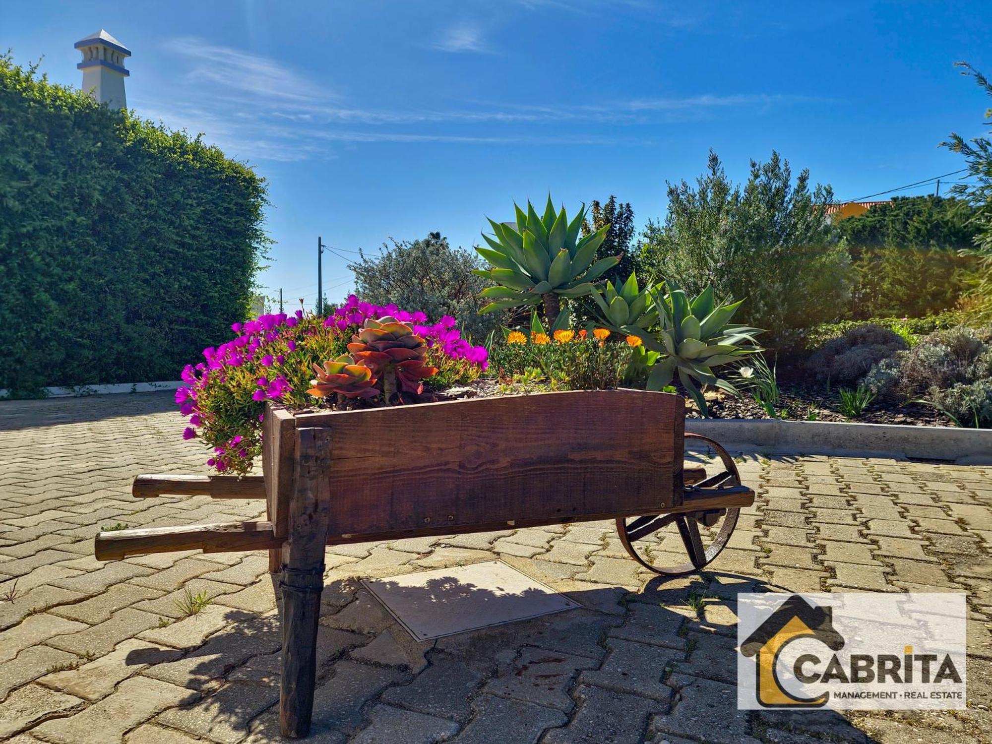 Quinta Dos Medronheiros Villa Altura Luaran gambar