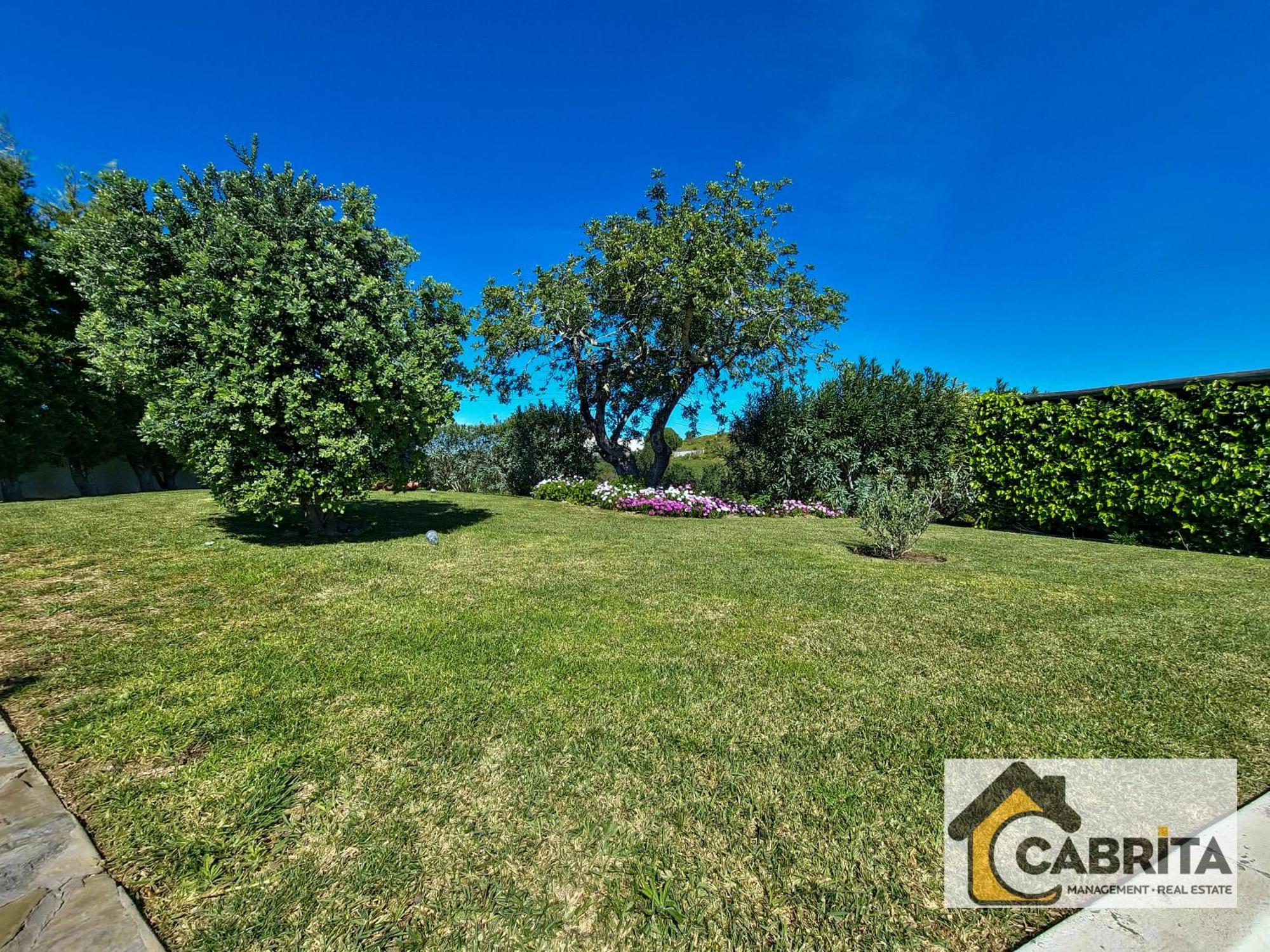 Quinta Dos Medronheiros Villa Altura Luaran gambar