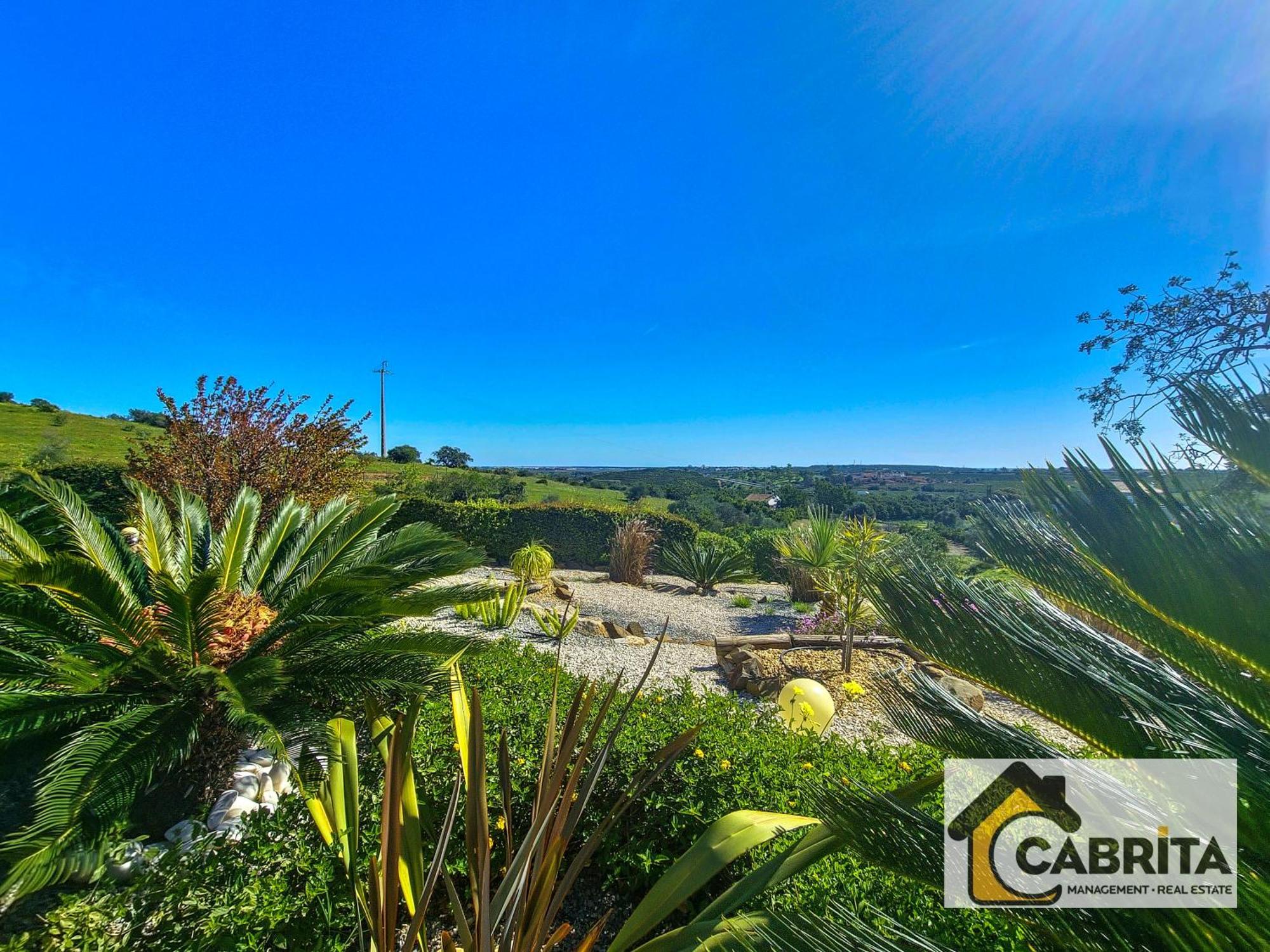 Quinta Dos Medronheiros Villa Altura Luaran gambar
