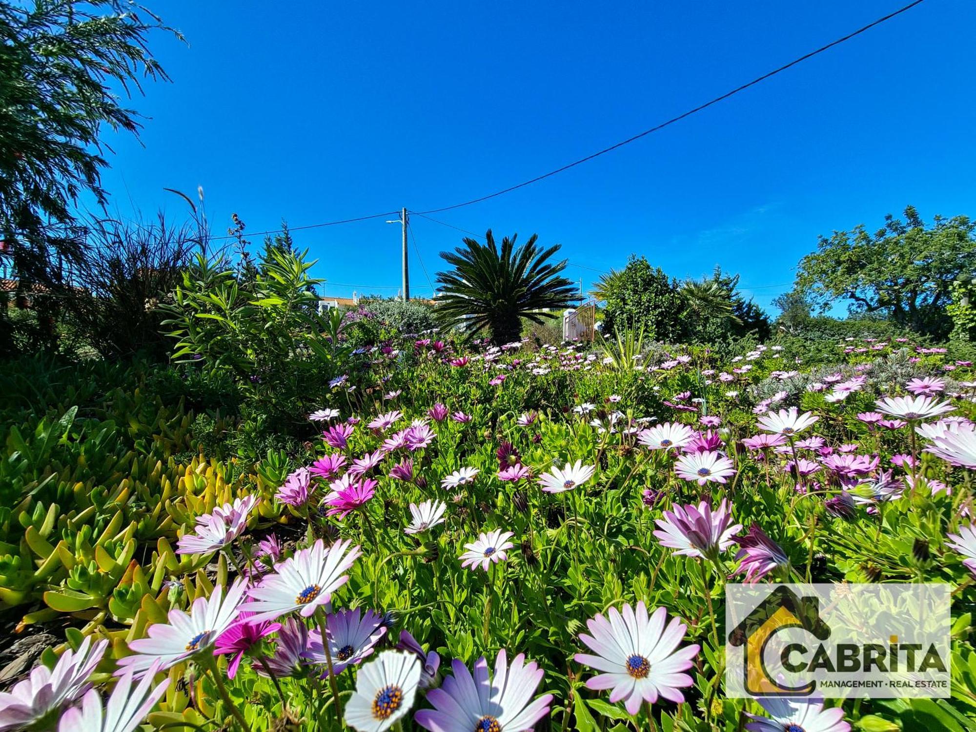 Quinta Dos Medronheiros Villa Altura Luaran gambar