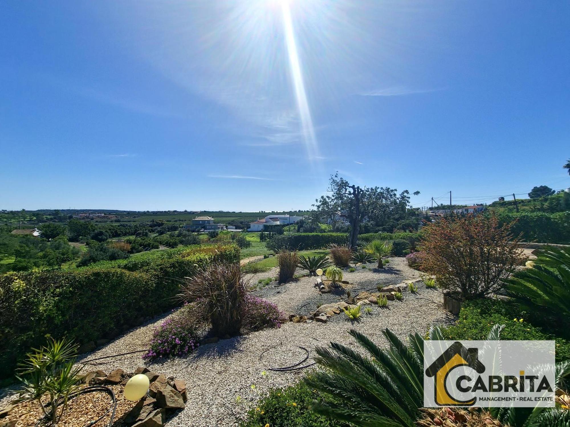 Quinta Dos Medronheiros Villa Altura Luaran gambar
