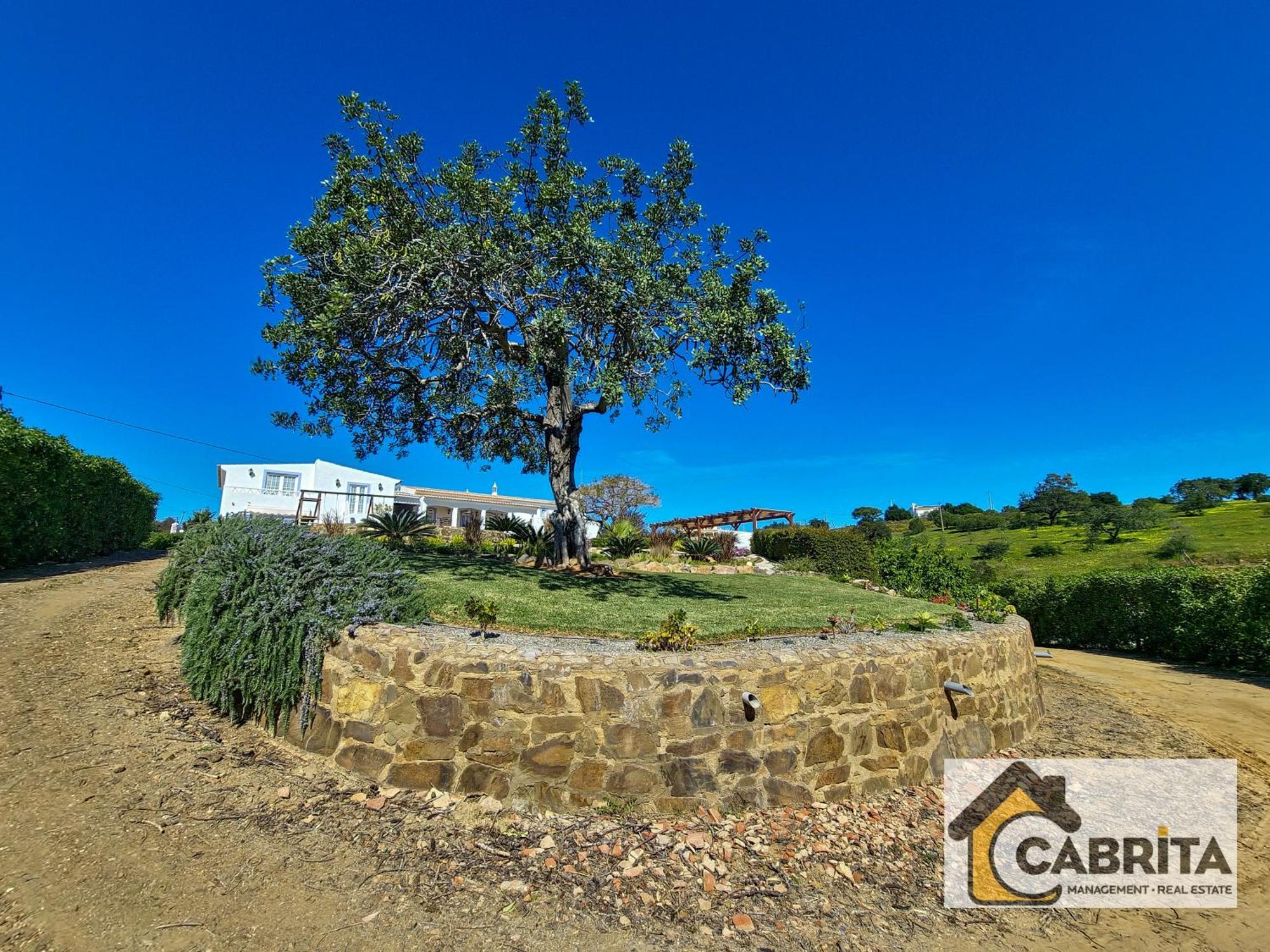 Quinta Dos Medronheiros Villa Altura Luaran gambar
